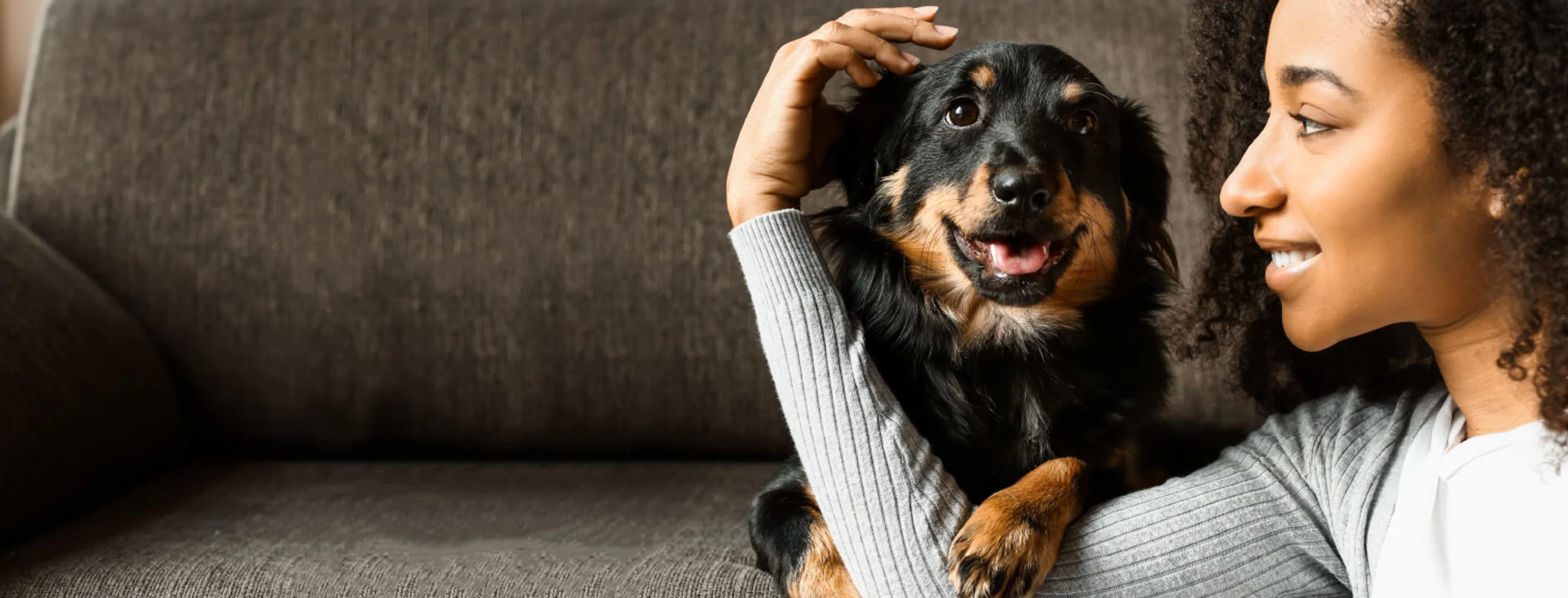 A woman cuddling with a black and brown dog on a couch